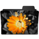 Flower Orange Icon 128x128 png